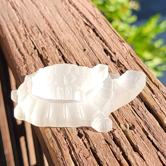 NEW SMALL SELENITE TORTOISE CARVING - Picture 4 of 4